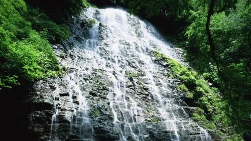 精密稳定性